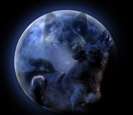 Full Wolf Moon